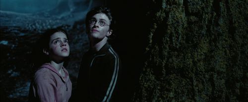 PdA-Potterish_7642.jpg
