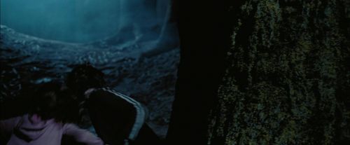PdA-Potterish_7643.jpg