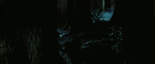 Click to view full size image
==============
PdA-Potterish_7649.jpg PdA-Potterish_7649.jpg