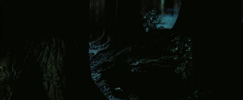 PdA-Potterish_7650.jpg