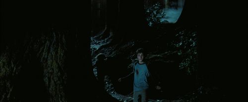 PdA-Potterish_7651.jpg