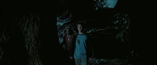 PdA-Potterish_7654.jpg