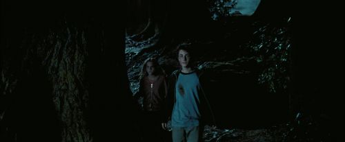 Click to view full size image
==============
PdA-Potterish_7655.jpg PdA-Potterish_7655.jpg