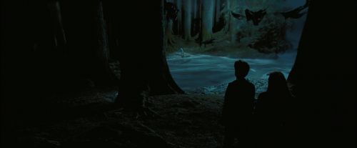 PdA-Potterish_7656.jpg