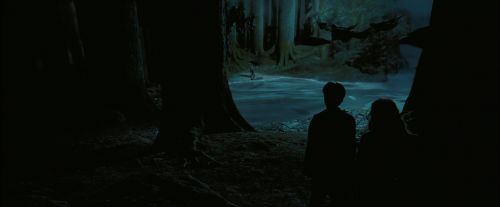 Click to view full size image
==============
PdA-Potterish_7658.jpg PdA-Potterish_7658.jpg