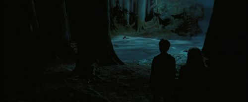 PdA-Potterish_7660.jpg