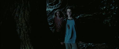 Click to view full size image
==============
PdA-Potterish_7661.jpg PdA-Potterish_7661.jpg