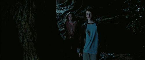 Click to view full size image
==============
PdA-Potterish_7662.jpg PdA-Potterish_7662.jpg