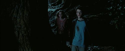 PdA-Potterish_7663.jpg