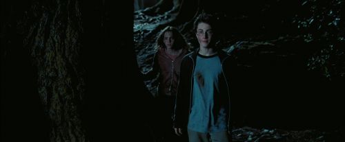 Click to view full size image
==============
PdA-Potterish_7664.jpg PdA-Potterish_7664.jpg