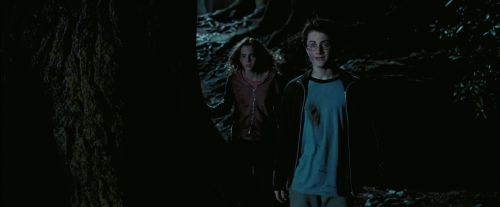 Click to view full size image
==============
PdA-Potterish_7665.jpg PdA-Potterish_7665.jpg