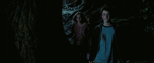 PdA-Potterish_7667.jpg