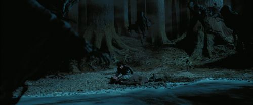 PdA-Potterish_7691.jpg