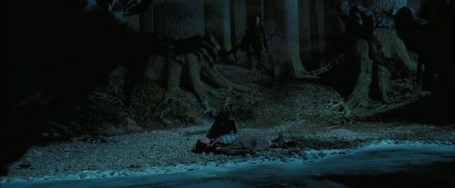 PdA-Potterish_7692.jpg