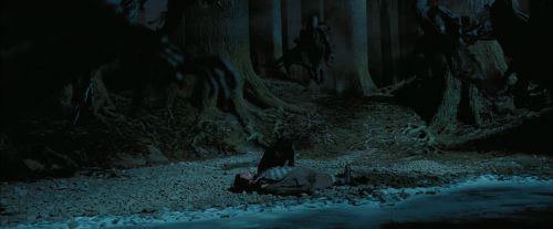 PdA-Potterish_7693.jpg