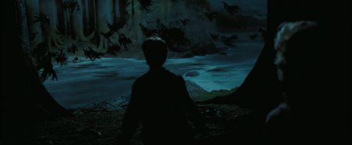 PdA-Potterish_7700.jpg