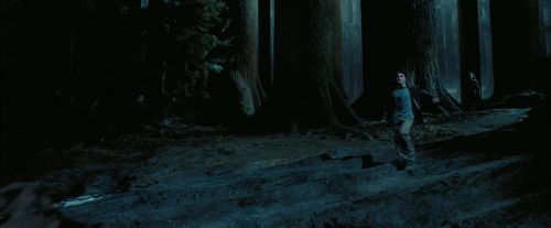 Click to view full size image
==============
PdA-Potterish_7703.jpg PdA-Potterish_7703.jpg