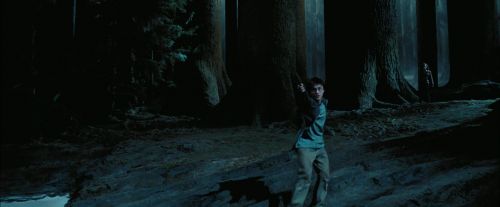 PdA-Potterish_7704.jpg