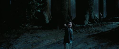 PdA-Potterish_7705.jpg
