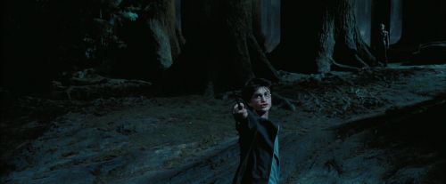 PdA-Potterish_7706.jpg