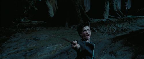 PdA-Potterish_7707.jpg