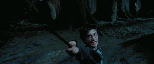 PdA-Potterish_7708.jpg