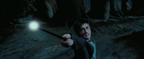 PdA-Potterish_7709.jpg