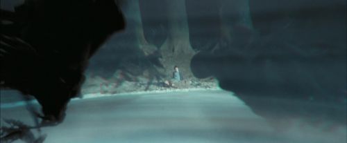PdA-Potterish_7720.jpg