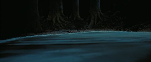 Click to view full size image
==============
PdA-Potterish_7751.jpg PdA-Potterish_7751.jpg