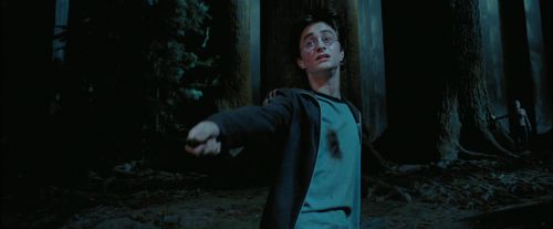 PdA-Potterish_7758.jpg