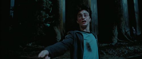 Click to view full size image
==============
PdA-Potterish_7759.jpg PdA-Potterish_7759.jpg
