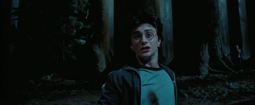 PdA-Potterish_7760.jpg