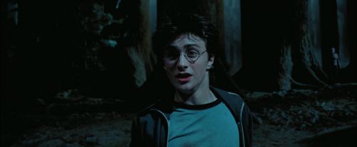 PdA-Potterish_7763.jpg