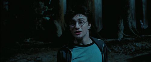 PdA-Potterish_7764.jpg