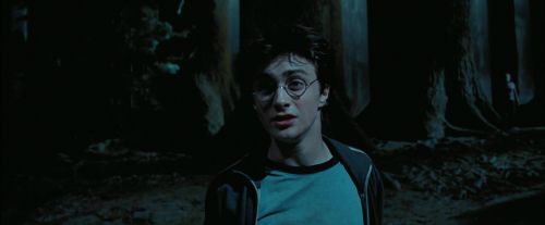 PdA-Potterish_7765.jpg