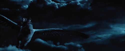 PdA-Potterish_7770.jpg
