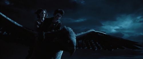 PdA-Potterish_7784.jpg