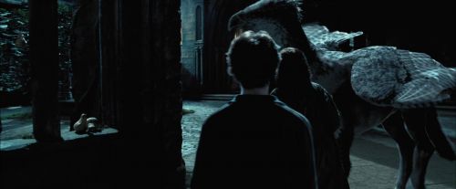 Click to view full size image
==============
PdA-Potterish_7837.jpg PdA-Potterish_7837.jpg