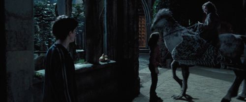 PdA-Potterish_7912.jpg