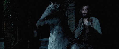 Click to view full size image
==============
PdA-Potterish_7915.jpg PdA-Potterish_7915.jpg