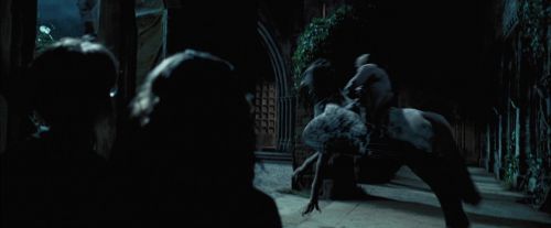 Click to view full size image
==============
PdA-Potterish_7923.jpg PdA-Potterish_7923.jpg