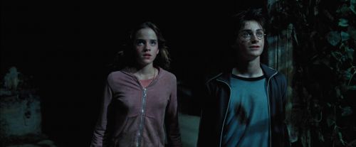 Click to view full size image
==============
PdA-Potterish_7942.jpg PdA-Potterish_7942.jpg