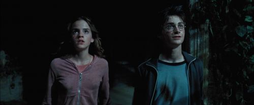 PdA-Potterish_7943.jpg