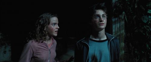 Click to view full size image
==============
PdA-Potterish_7944.jpg PdA-Potterish_7944.jpg