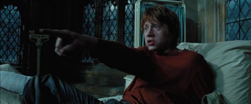 PdA-Potterish_7994.jpg