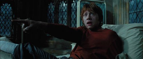 Click to view full size image
==============
PdA-Potterish_7995.jpg PdA-Potterish_7995.jpg