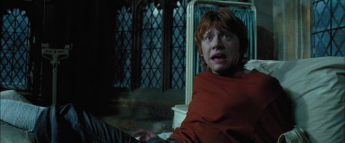 Click to view full size image
==============
PdA-Potterish_7996.jpg PdA-Potterish_7996.jpg