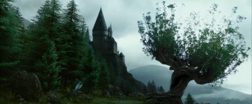 PdA-Potterish_8007.jpg