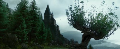 PdA-Potterish_8008.jpg