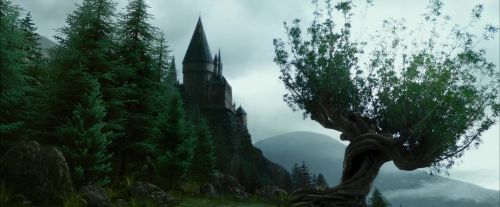 PdA-Potterish_8009.jpg
